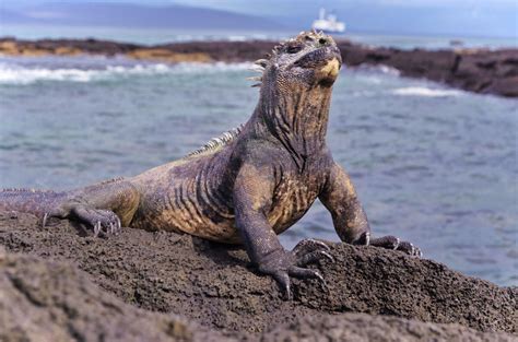 The Magical Stories Behind Galapagos' Iconic Landmarks